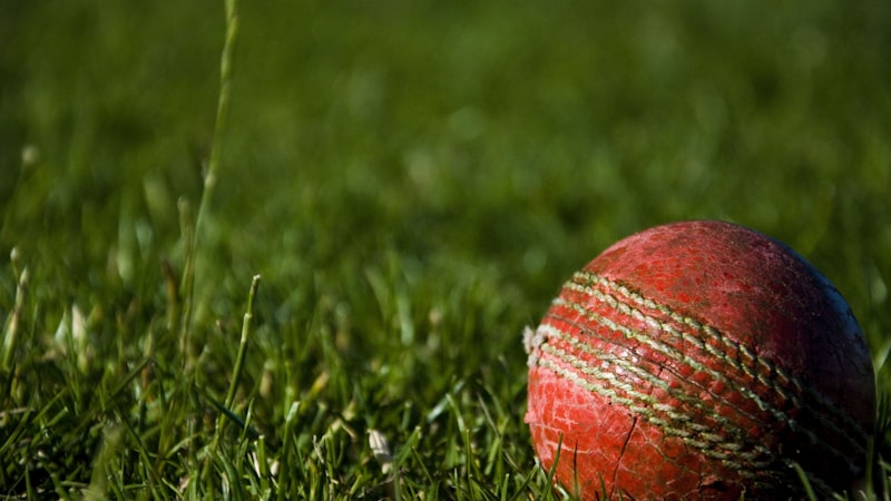 77体育电竞游戏比赛直播与竞猜平台